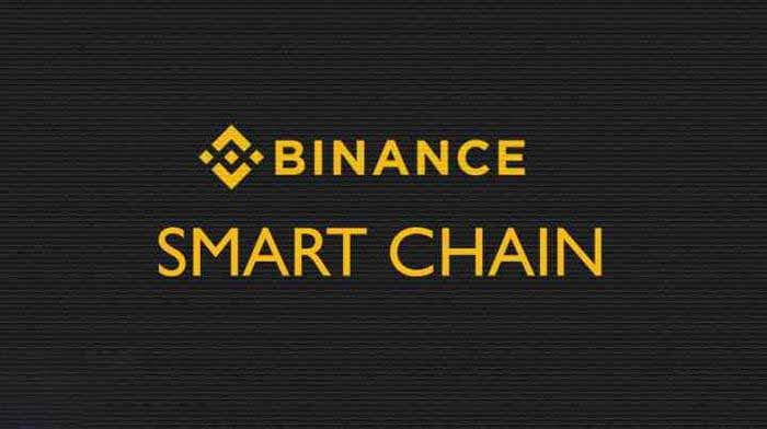 /binance-smart-chain-tokens-introduction/images/202302230932215-0.jpeg