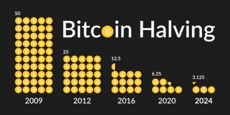 /bitcoin-halving-countdown-bottom-time-price-prediction/images/f48c2e63-2e3b-41f9-b240-b05f76d1ce41-0.jpeg