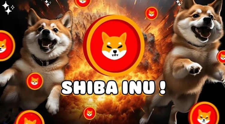 /dogecoin-vs-shiba-inu-which-has-more-potential/images/30b0d341-b24d-41e6-b994-f01ccc3165dd-0.jpeg