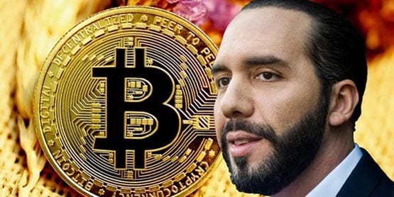 /el-salvador-bitcoin-profit-tim-draper-wealthiest-nation/featured-image-content.jpg