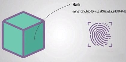/transaction-hash-block-hash-explained/images/e5af9507-cda3-40f9-ac9c-9e03cbd73b0e-0.jpeg